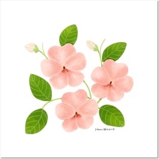 Impatiens Flowers Posters and Art